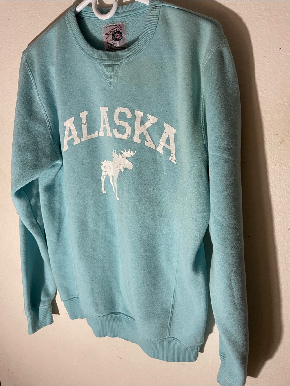 Alaska Graphic Crewneck Sweatshirt - Aqua